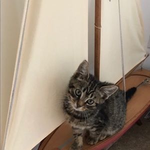 Meet your Posher, Shirley